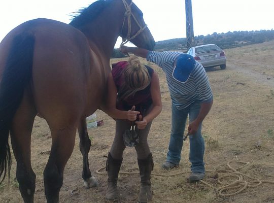 506471600_24189391570686614_7832938584814525_n