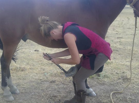 507555938_24189391347353303_3095726207292311240_n